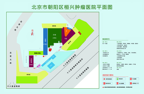 免费小网站操逼视频北京市朝阳区桓兴肿瘤医院平面图